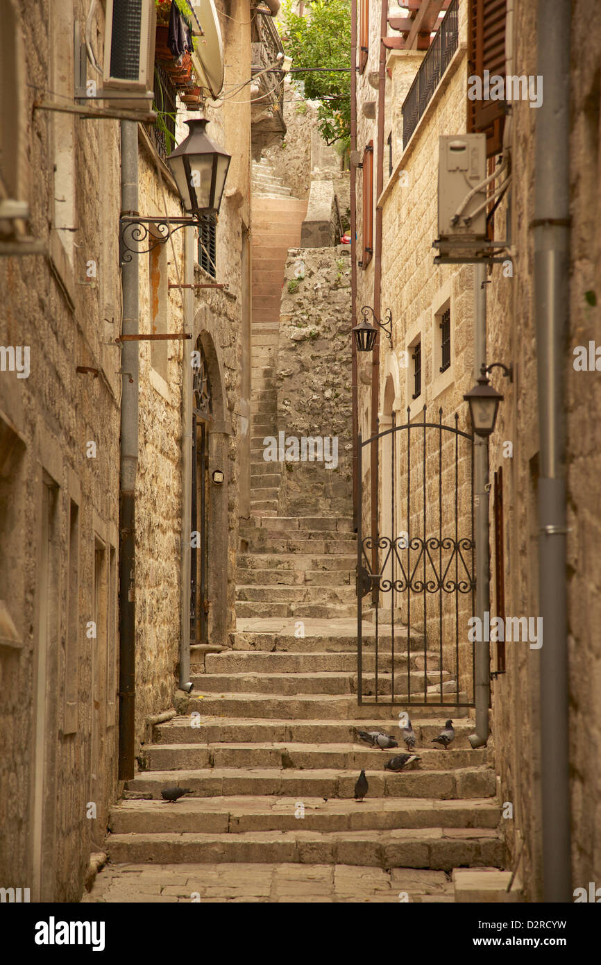 Strada stretta, Città Vecchia, Kotor, Sito Patrimonio Mondiale dell'UNESCO, Montenegro, Europa Foto Stock