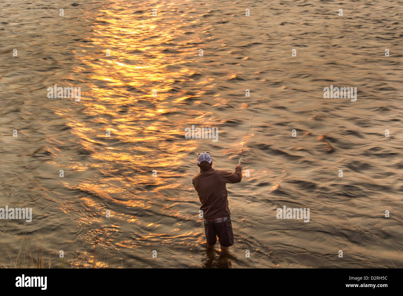 Reid Sabin fly fishing all alba del Madison river vicino a Ennis, Montana, USA (MR) Foto Stock