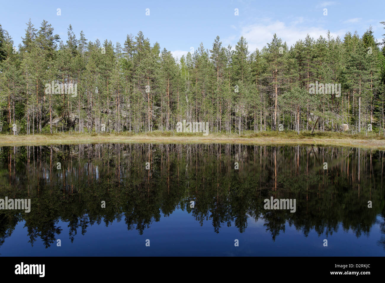 Tolonen lago, Repovesi National Park, Finlandia Foto Stock