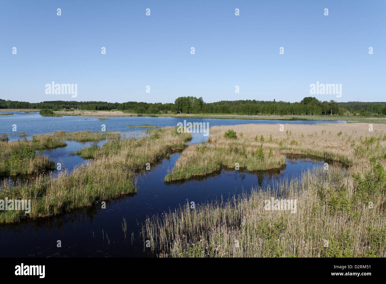 Zona Umida Siikalahti Riserva Naturale, Finlandia Foto Stock