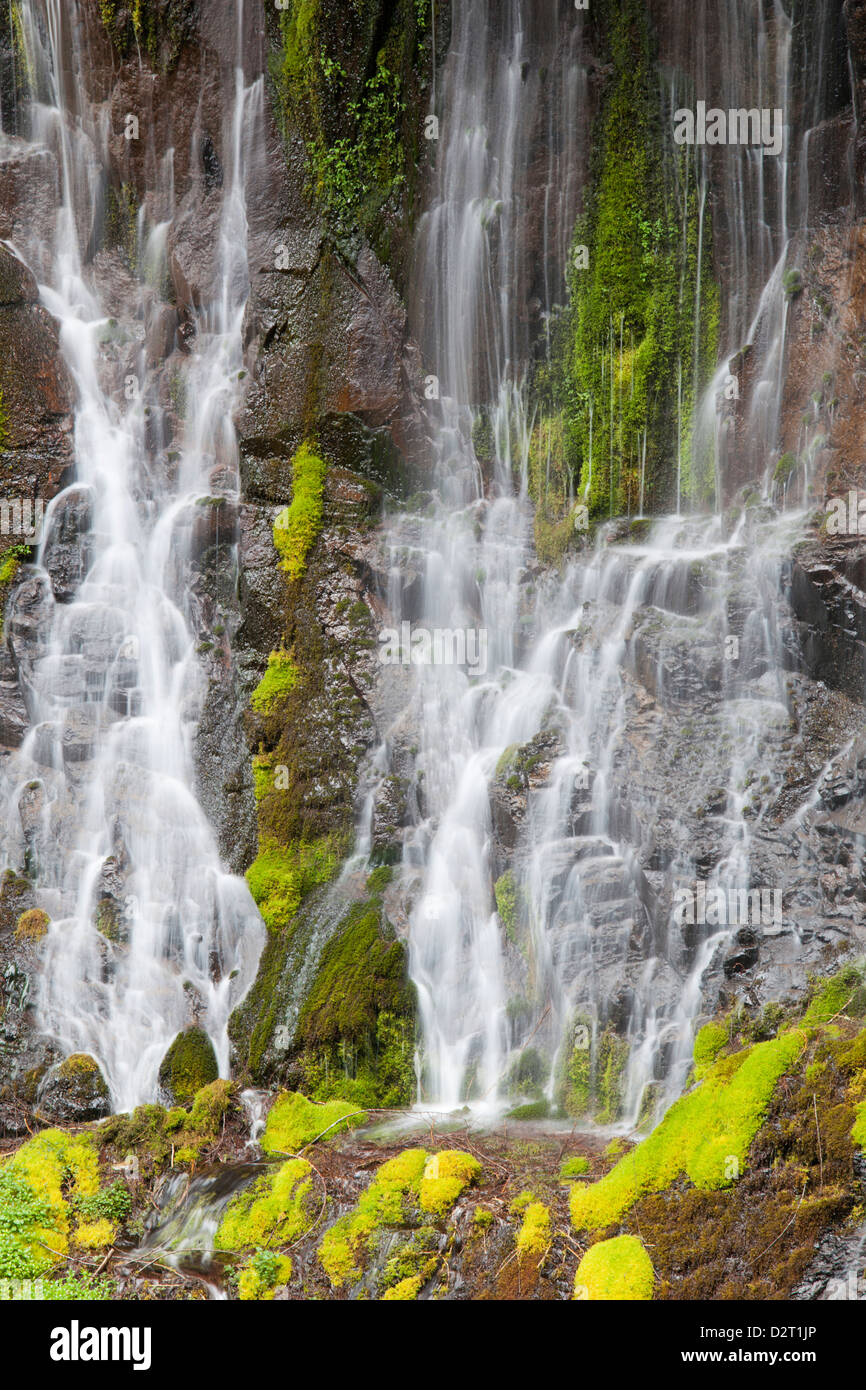 WA, Gifford Pinchot National Forest, Panther Creek Falls Foto Stock