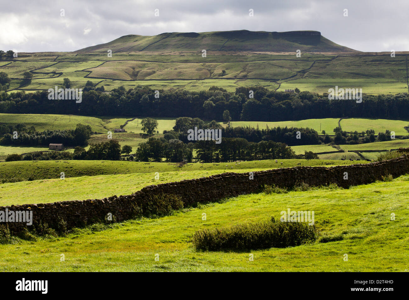 Addlebrough da Askrigg in Wensleydale, Yorkshire Dales, North Yorkshire, Yorkshire, Inghilterra, Regno Unito, Europa Foto Stock