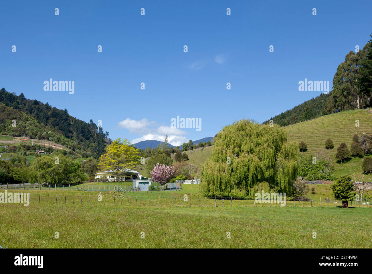 Colline nella valle di Maitai vicino a Nelson, Nuova Zelanda Foto Stock