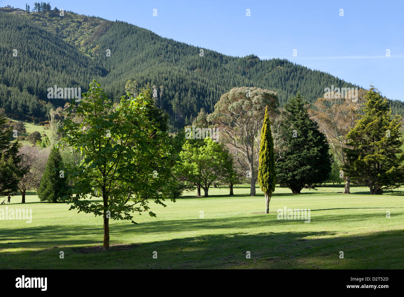 Verdi colline nella valle di Maitai vicino a Nelson, Nuova Zelanda Foto Stock