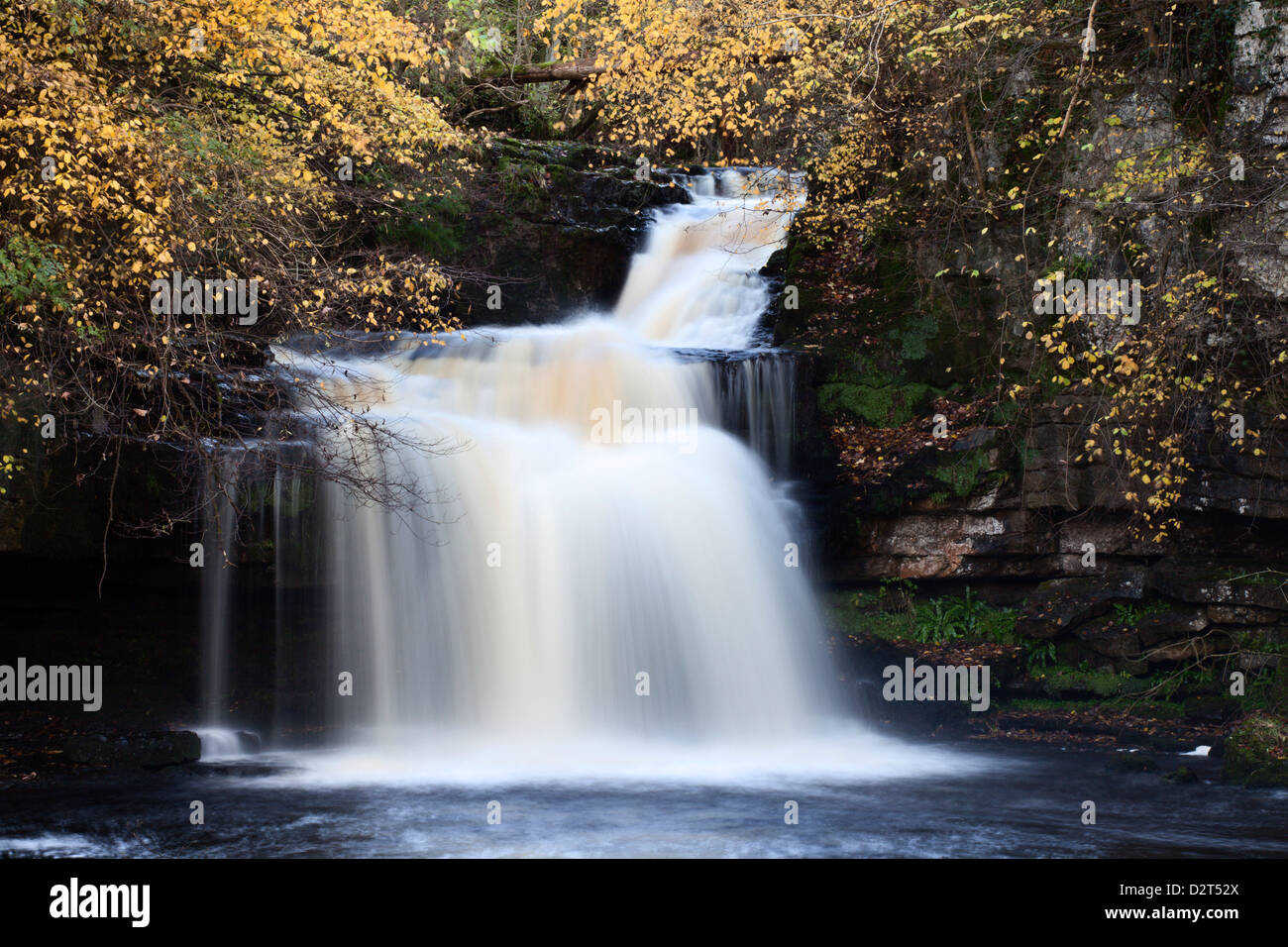 Di West Burton cascata in autunno, Wensleydale, North Yorkshire, Inghilterra, Regno Unito, Europa Foto Stock