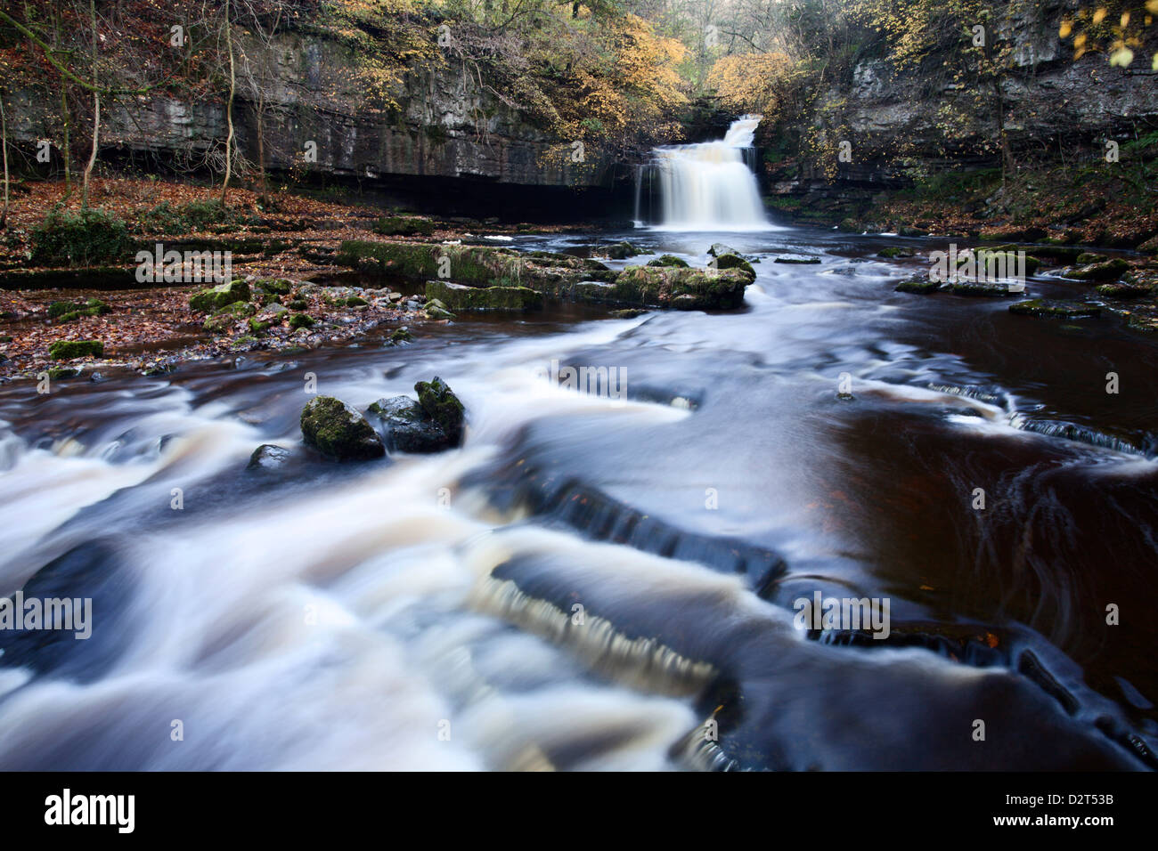 Di West Burton cascata in autunno, Wensleydale, North Yorkshire, Inghilterra, Regno Unito, Europa Foto Stock