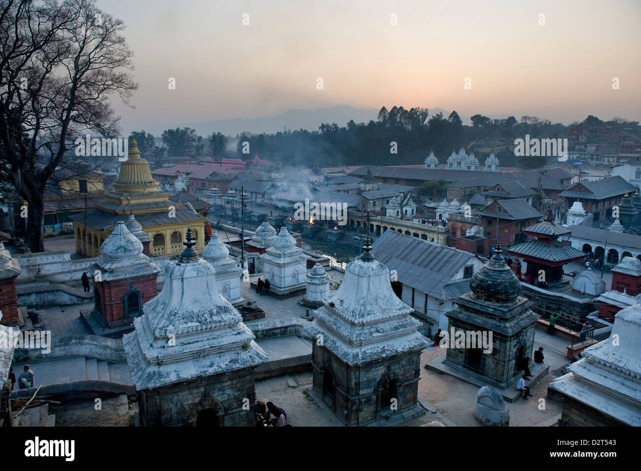 Tempio di Pashupatinath, Sito Patrimonio Mondiale dell'UNESCO, Kathmandu, Nepal, Asia Foto Stock