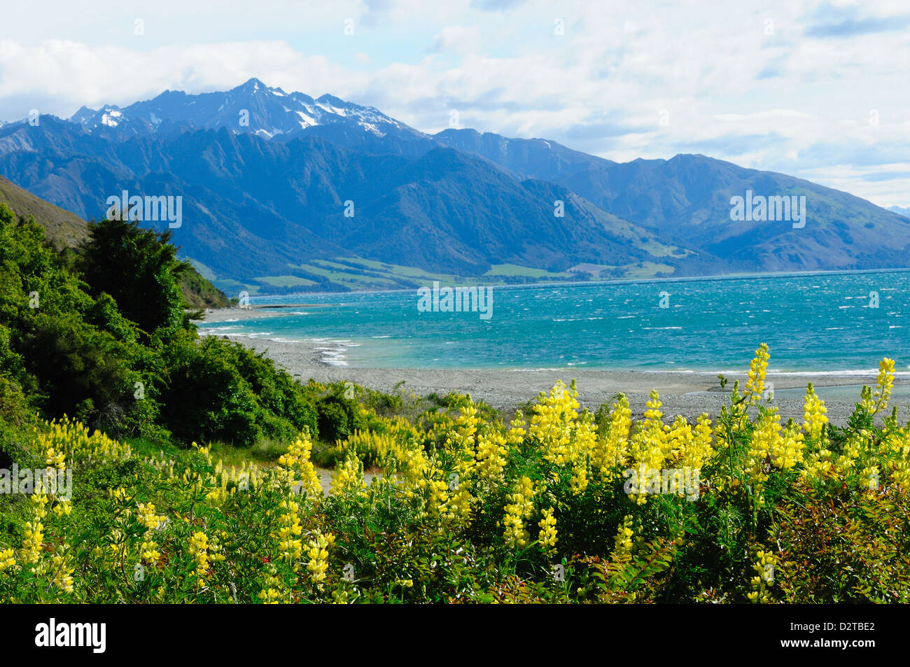 Il Lago Te Anau, Southland, South Island, in Nuova Zelanda, Pacific Foto Stock