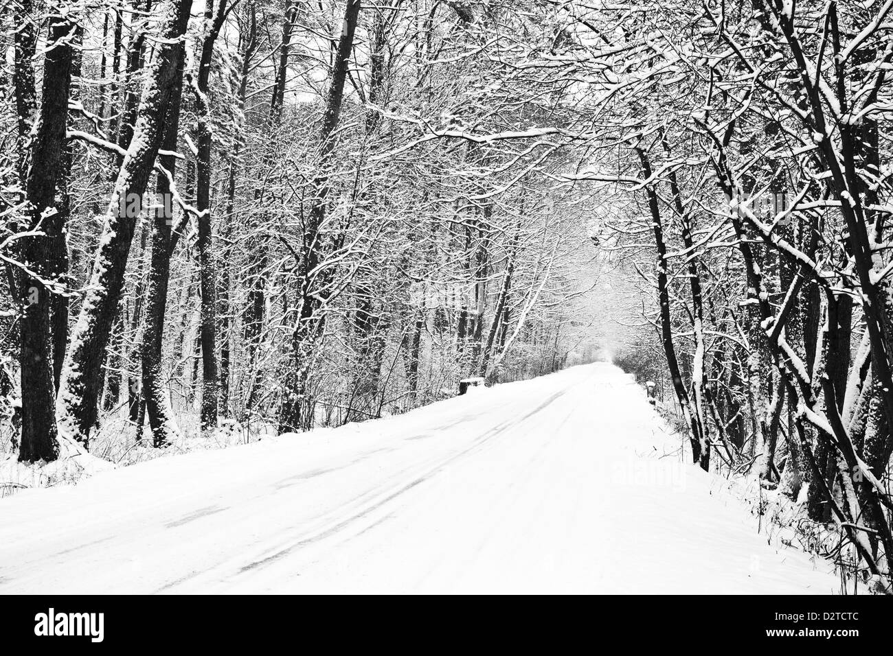 Percorso nel bosco in inverno - un sacco di neve Foto Stock