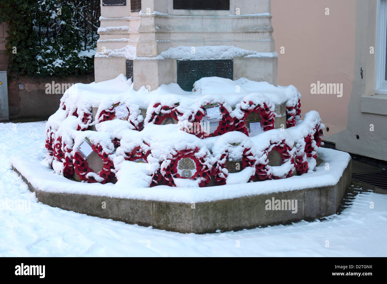 Il papavero ghirlande con neve sul Foto Stock