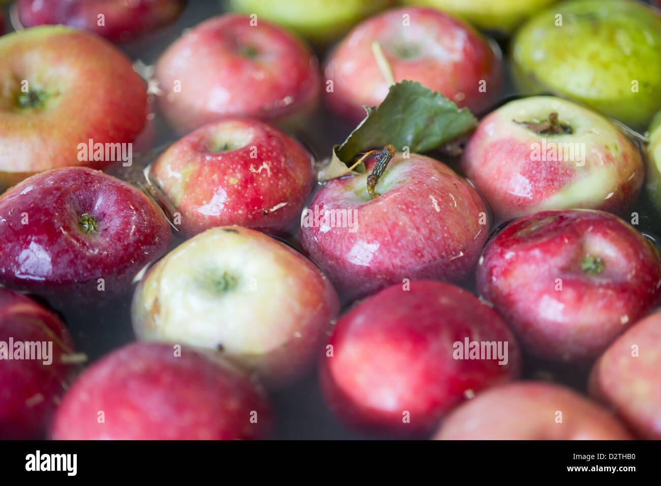 Mele, succo di mela e sidro premere in corrispondenza di un disco sidro distillery Foto Stock
