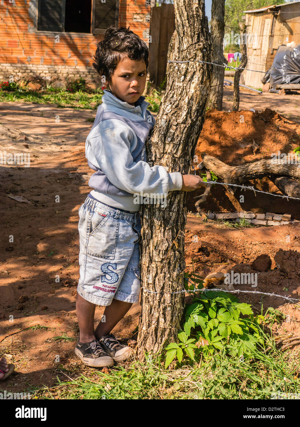 Un giovane paraguaiano ispanico boy stand, rivolto in avanti, e abbracci un albero in un sito di costruzione per Habitat for Humanity Paraguay. Foto Stock