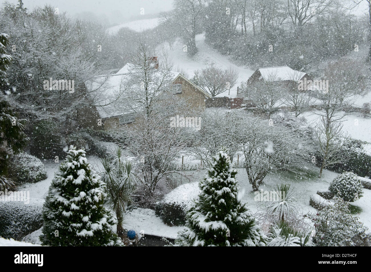 Giardini, case, alberi e arbusti in una forte tempesta di neve, Devon, Foto Stock
