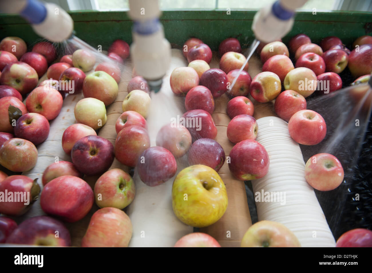 Mele, succo di mela e sidro premere in corrispondenza di un disco sidro distillery Foto Stock