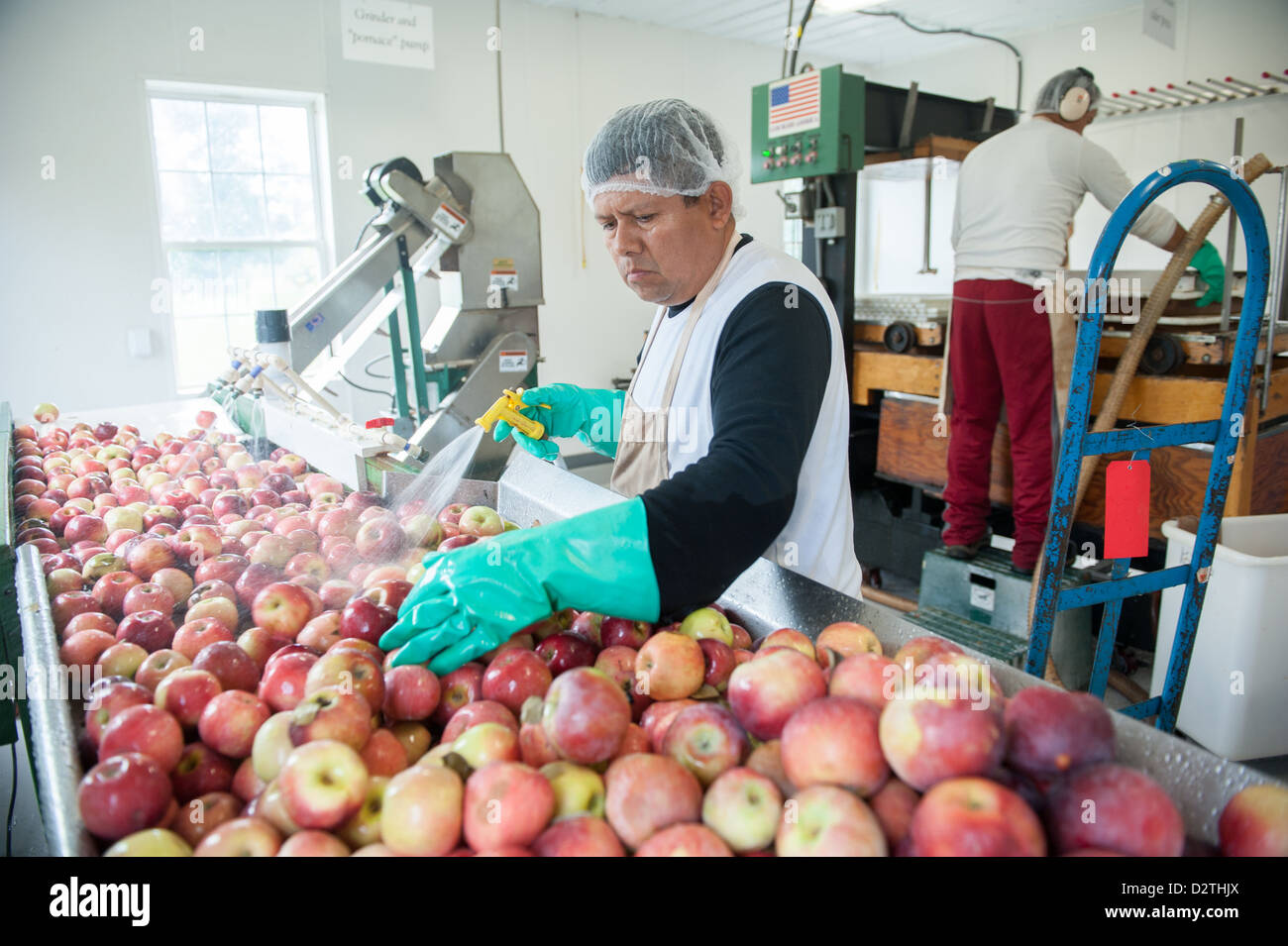 Mele, succo di mela e sidro premere in corrispondenza di un disco sidro distillery Foto Stock