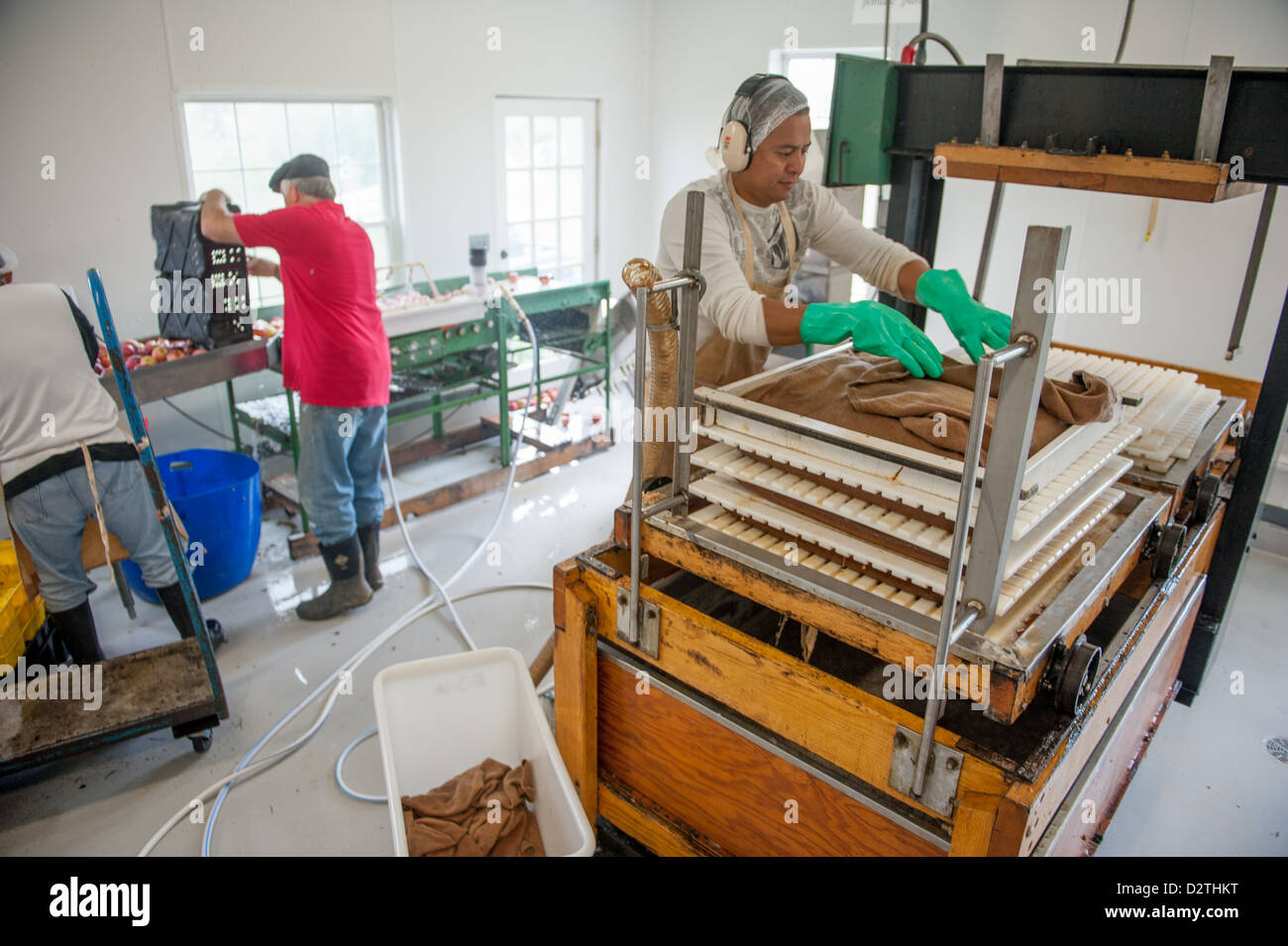 Mele, succo di mela e sidro premere in corrispondenza di un disco sidro distillery Foto Stock