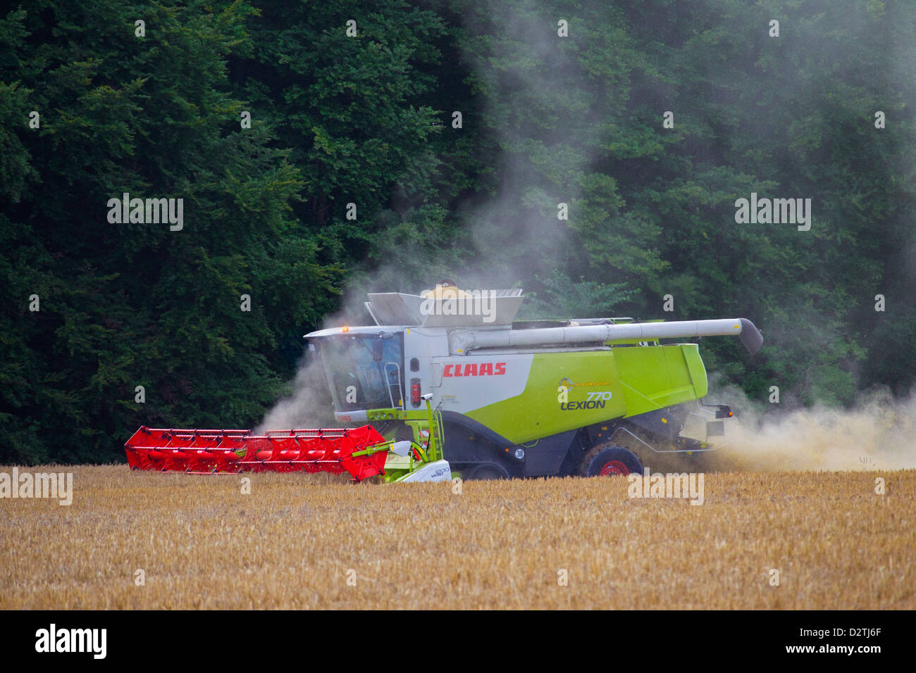 Agricoltore nella mietitrebbia la raccolta di cereali su cornfield / campo di grano dei terreni agricoli in estate Foto Stock