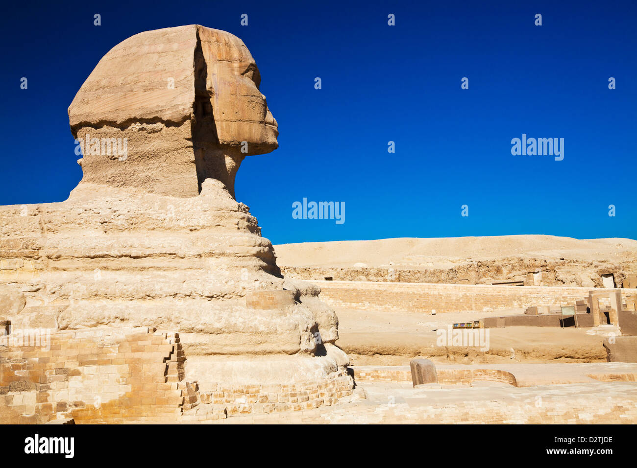 La Sfinge a La necropoli sull'altopiano di Giza vicino al Cairo, Egitto Foto Stock