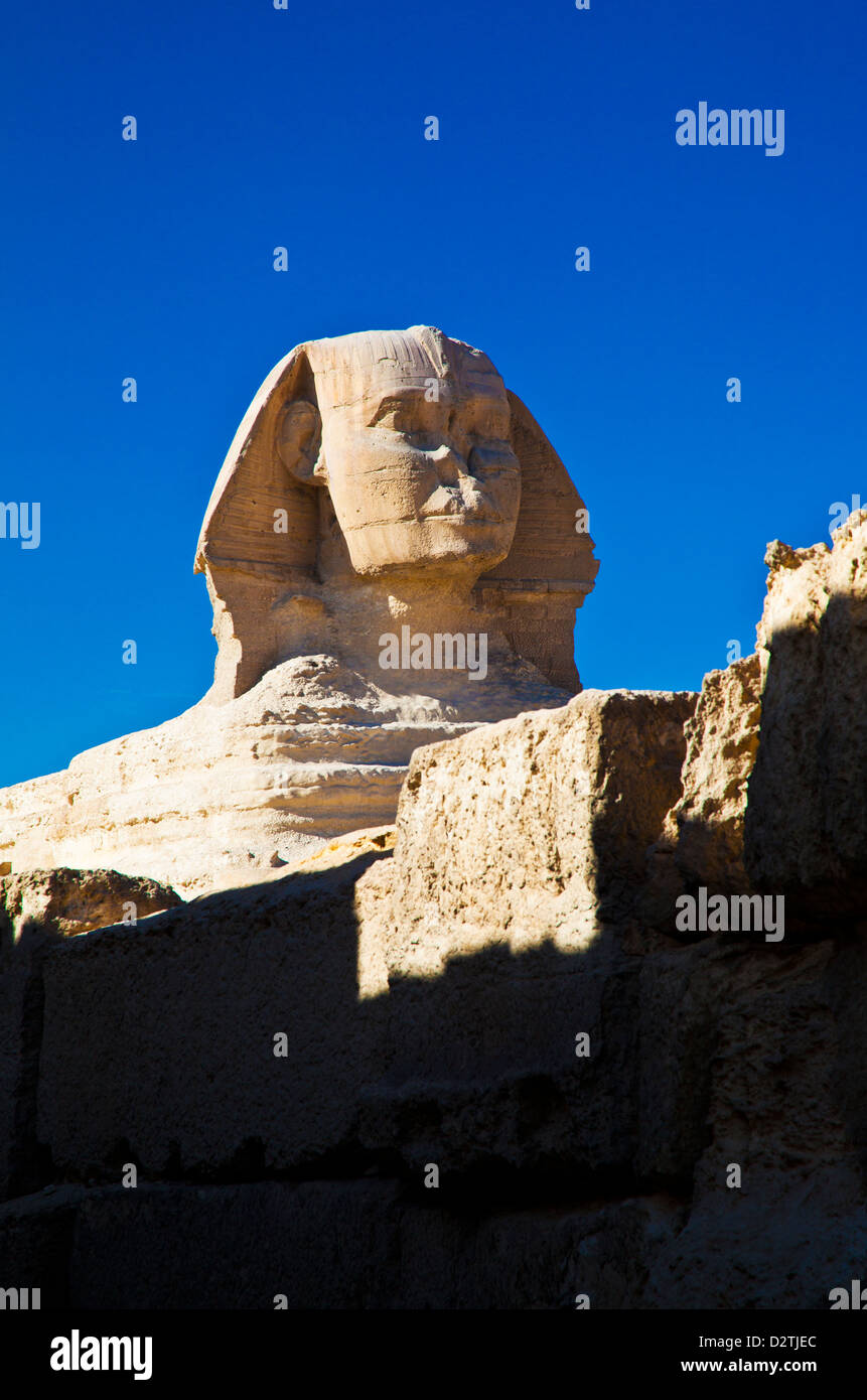 La Sfinge a piramide o complesse necropoli sull'altopiano di Giza vicino al Cairo, Egitto Foto Stock