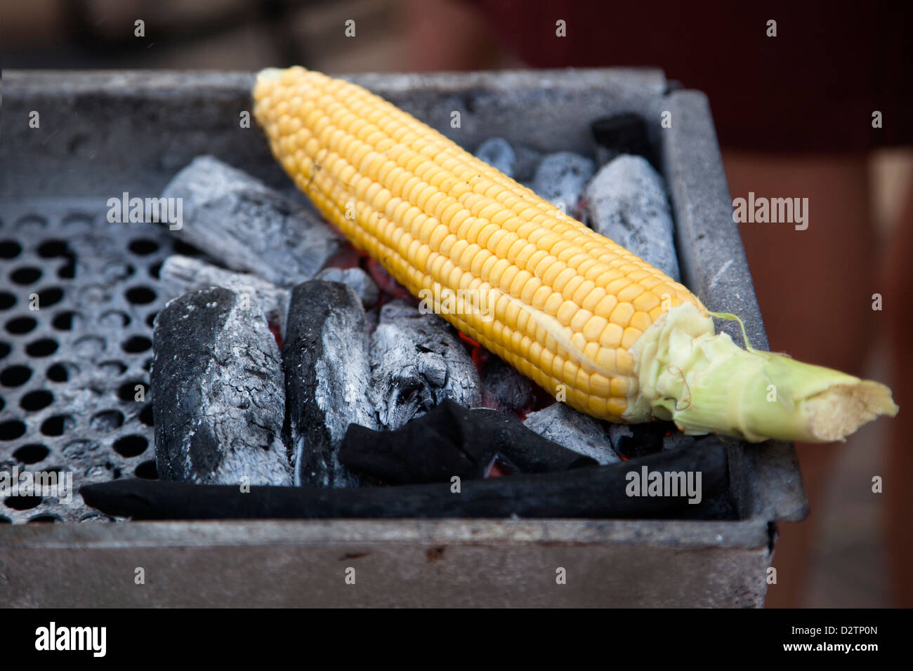 Preparazione di una spiga di grano su carbone di legna in un barbecue. Foto Stock