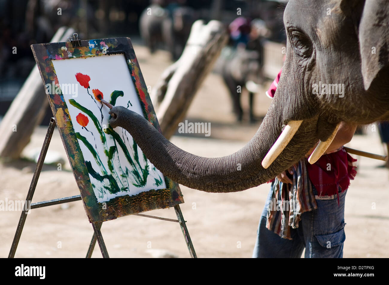 Chiang Mai, Thailandia, elefante vernici con il suo Ruessel fiori su una tela di canapa Foto Stock