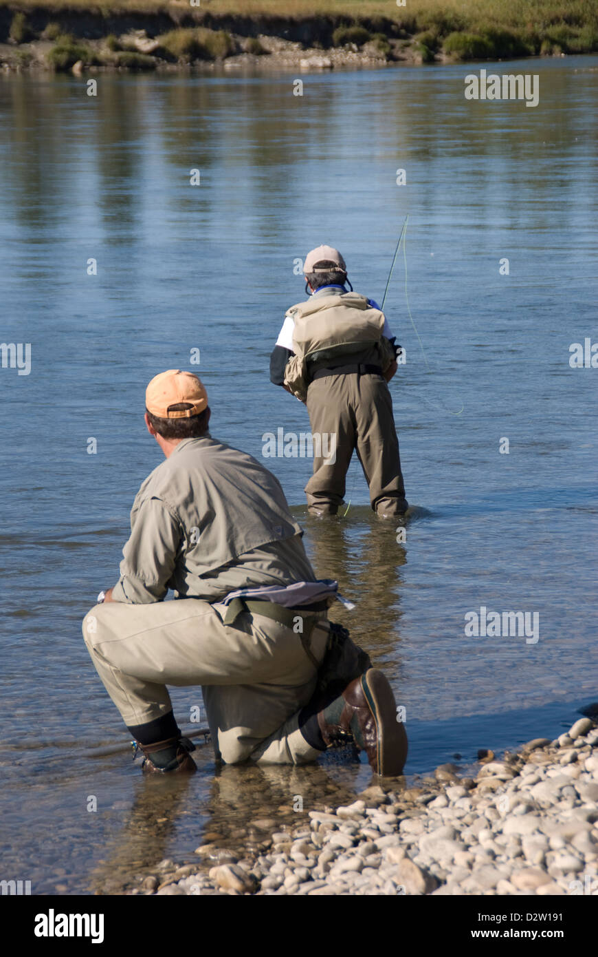 Guidato cattura e rilascio di Pesca a Mosca Report di Pesca sul Red Deer River,Alberta, Canada con Tailwater Drifters servizio guida. Foto Stock