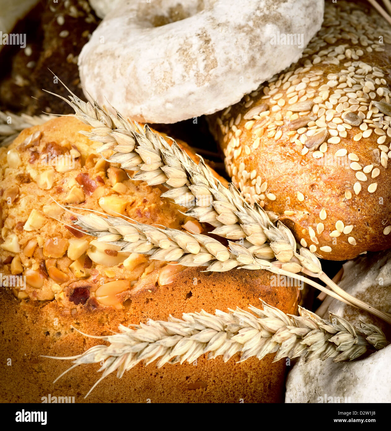 Un assortimento di prodotti da forno pane fresco. Pasta madre, bun, challah, bagel. Foto Stock