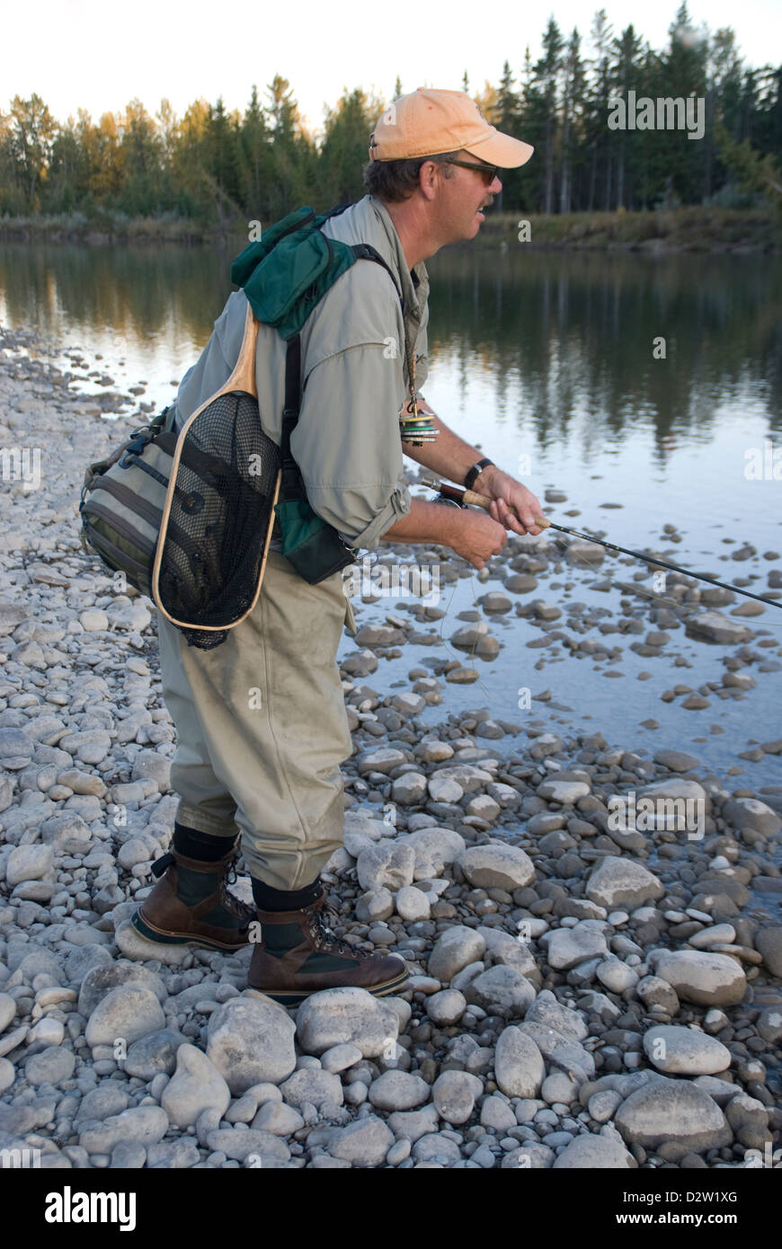 Pesca a Mosca per la trota marrone sul Red Deer River, Alberta, Canada Foto Stock