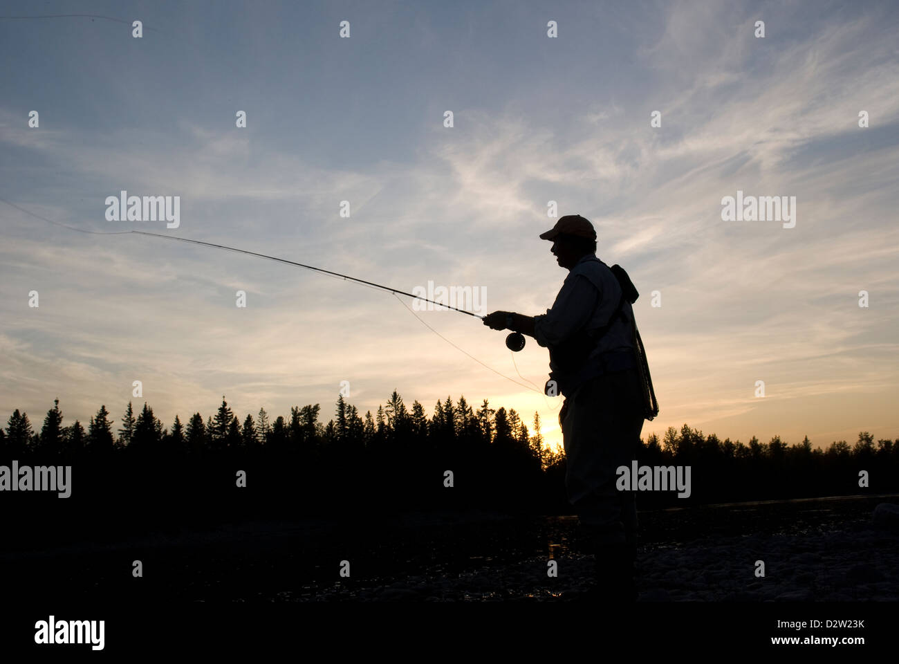 Tailwater Drifters guida Garry Pierce fly casting per la trota marrone sul Red Deer River al tramonto, Central Alberta, Canada. Foto Stock