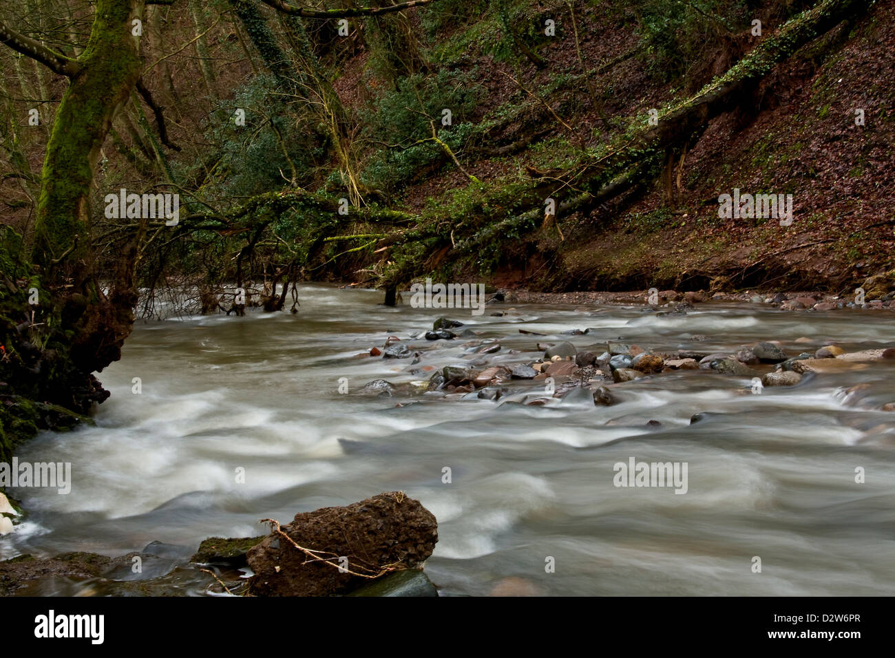Le spettacolari cascate Arbirlot e Elliot Water si trovano vicino ad Arbroath in Scozia, Regno Unito Foto Stock