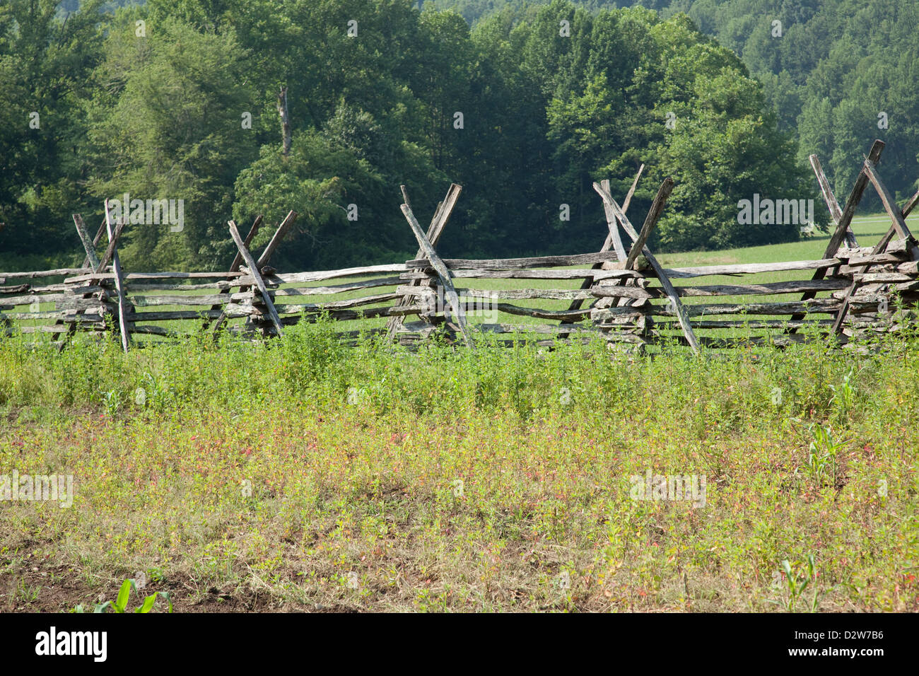 Split vecchio recinto della rampa con verde e piante infestanti prima di essa e boschi con alberi verdi dietro di esso. Foto Stock