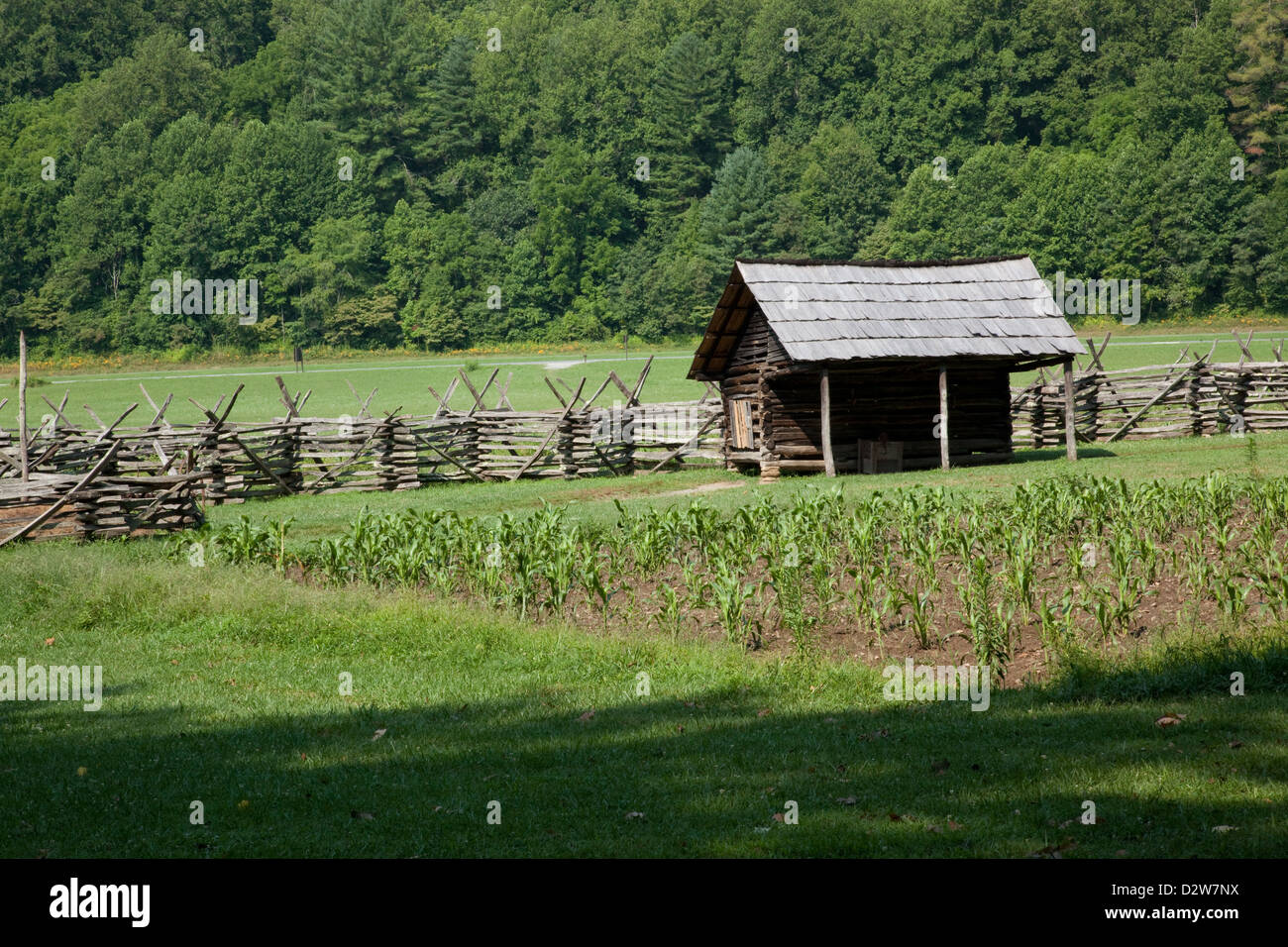 Campo di grano con un edificio di registro dietro di esso, con una rampa di split recinzione e boschi in background Foto Stock