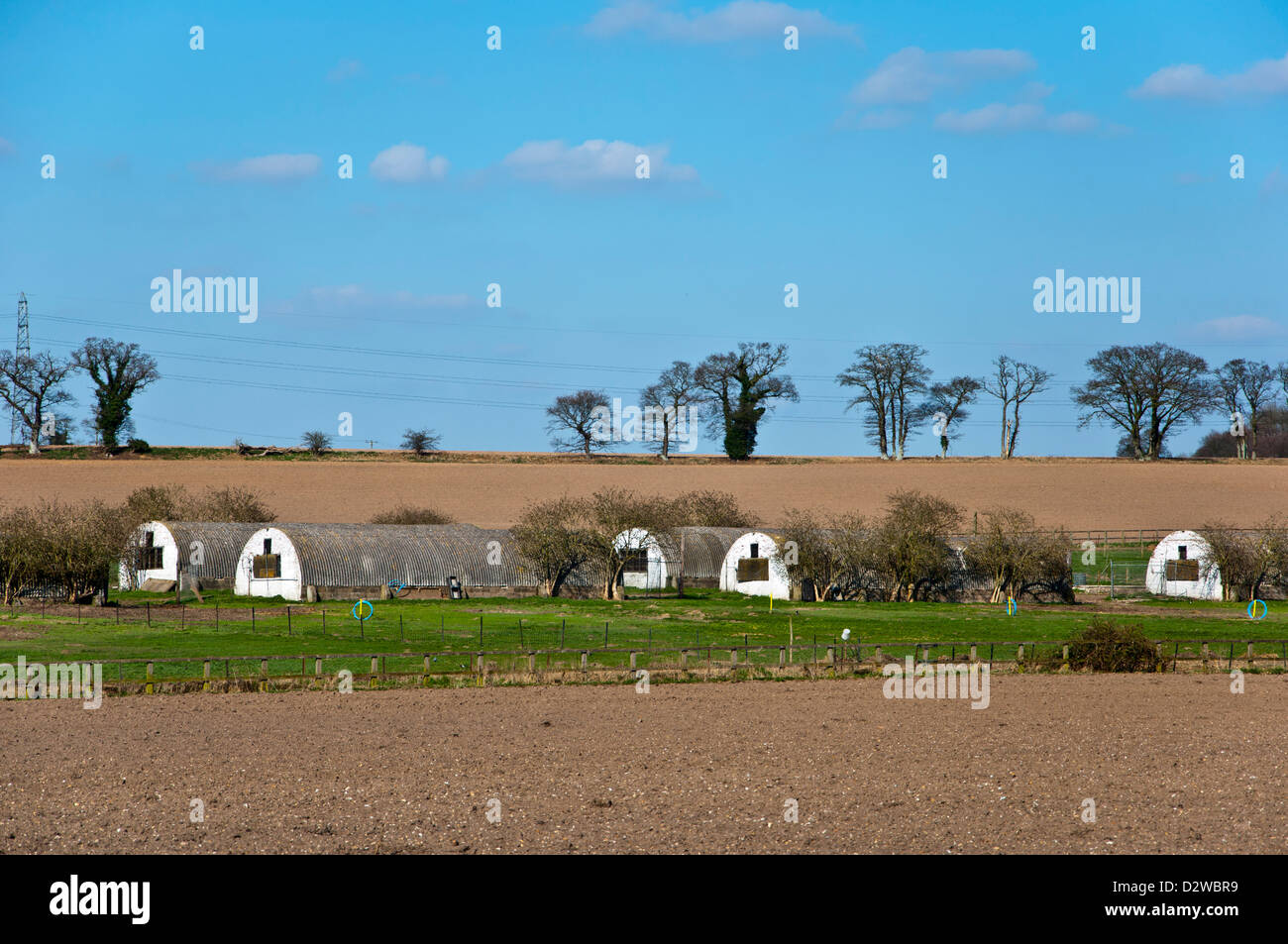 Nissen capanne in terreni agricoli Foto Stock