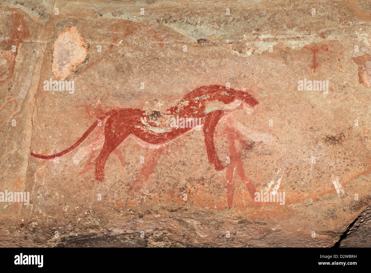 I Boscimani (SAN) rock dipinto raffigurante un predatore (cheetah), Drakensberg mountains, Sud Africa Foto Stock