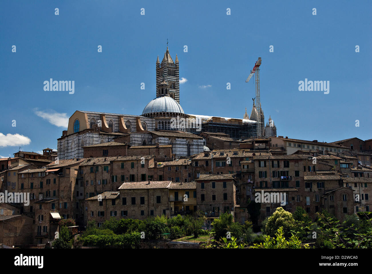 Siena a strisce del Duomo di Santa Caterina, Toscana, Italia. Foto Stock