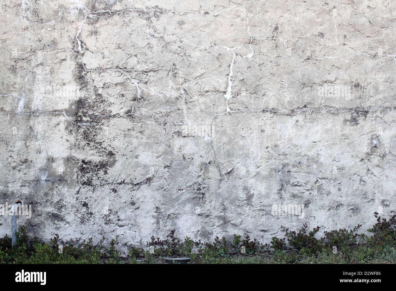 Un vecchio fessurato in cemento e gesso sfondo a parete. Foto Stock