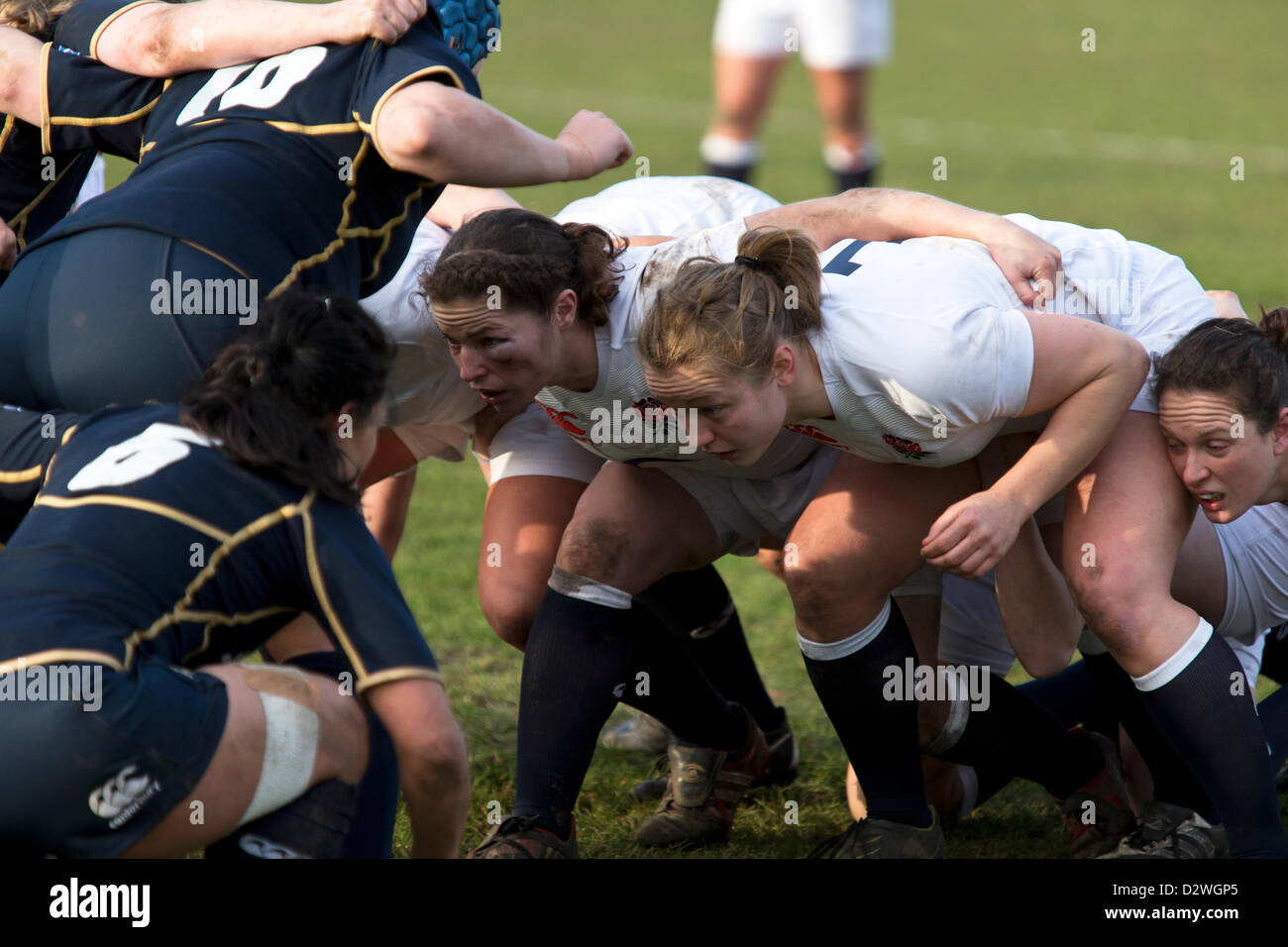 2.2.2013, Speen, Inghilterra e Scozia per donna RUGBY SEI NAZIONI. Foto Stock