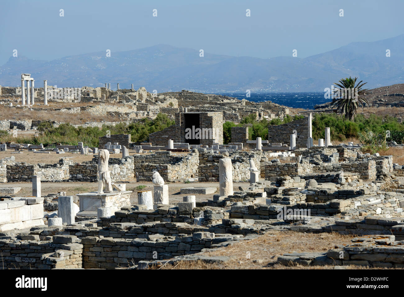 Delos . La Grecia. Partl vista del sito archeologico di Delos. A destra è il lago sacro Palm tree dove Apollo nacque. Foto Stock