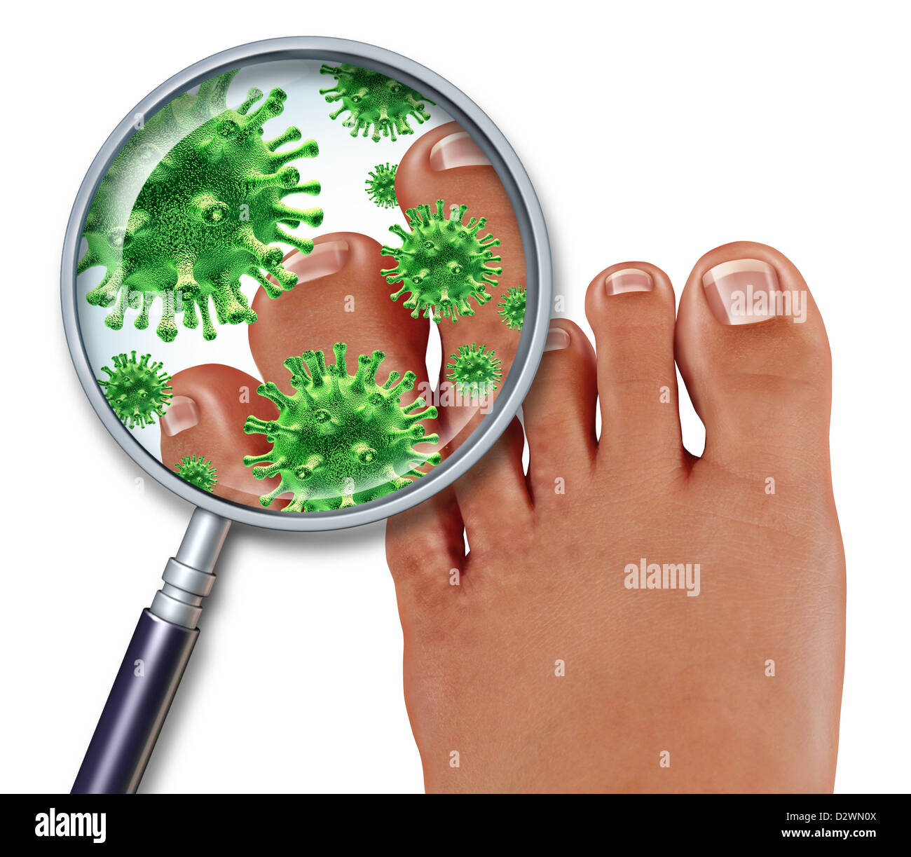 Piede fungo malattia con una chiusura del corpo umano che mostra le dita dei piedi con verde batteri o virus sotto una lente di ingrandimento con la malattia della pelle come un podologia podiatric o il concetto di medicina. Foto Stock