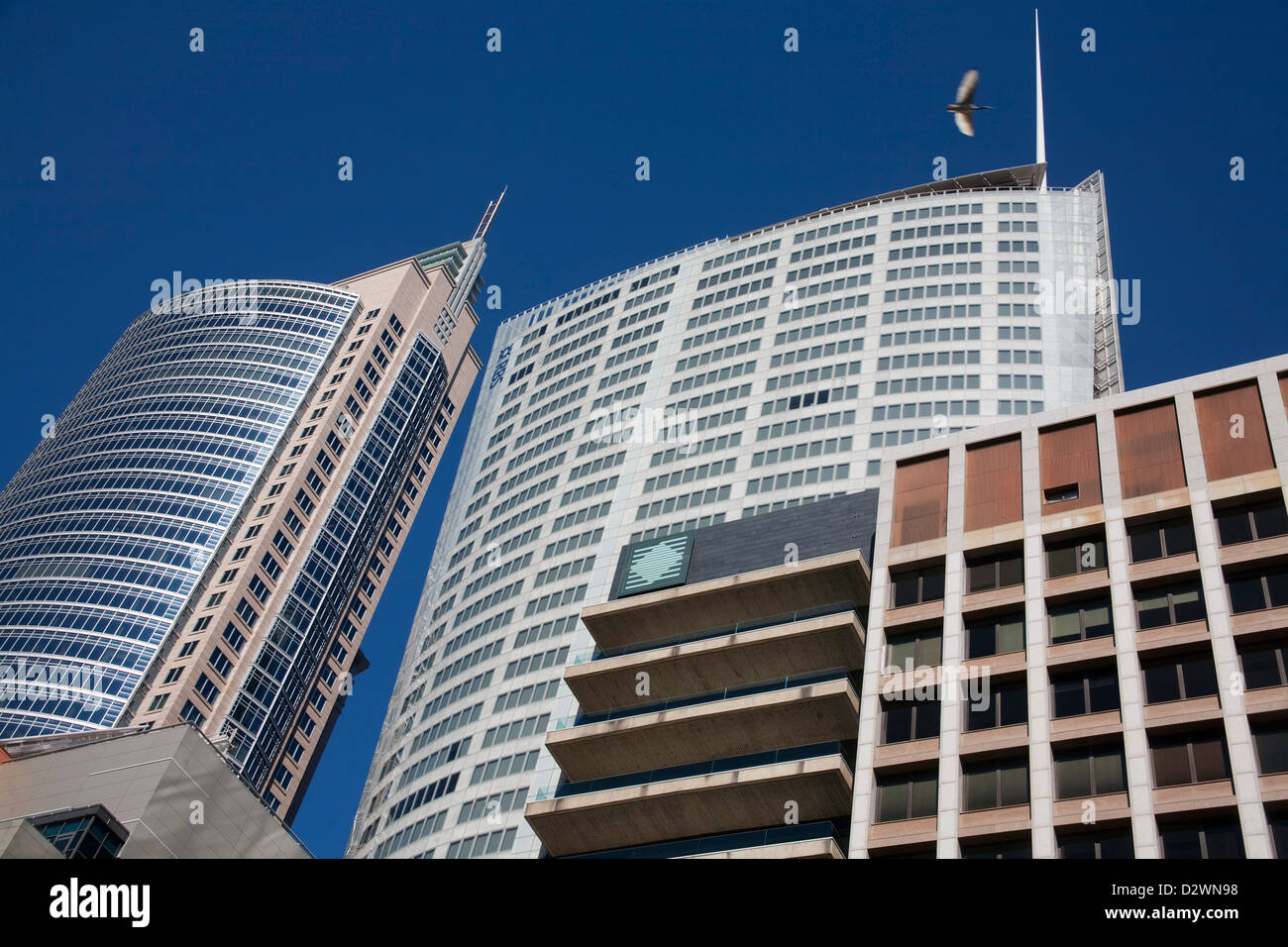 La ABN Amro building & Chifley dominano la Torre di Sydney CBD skyline su Macquarie Street Foto Stock