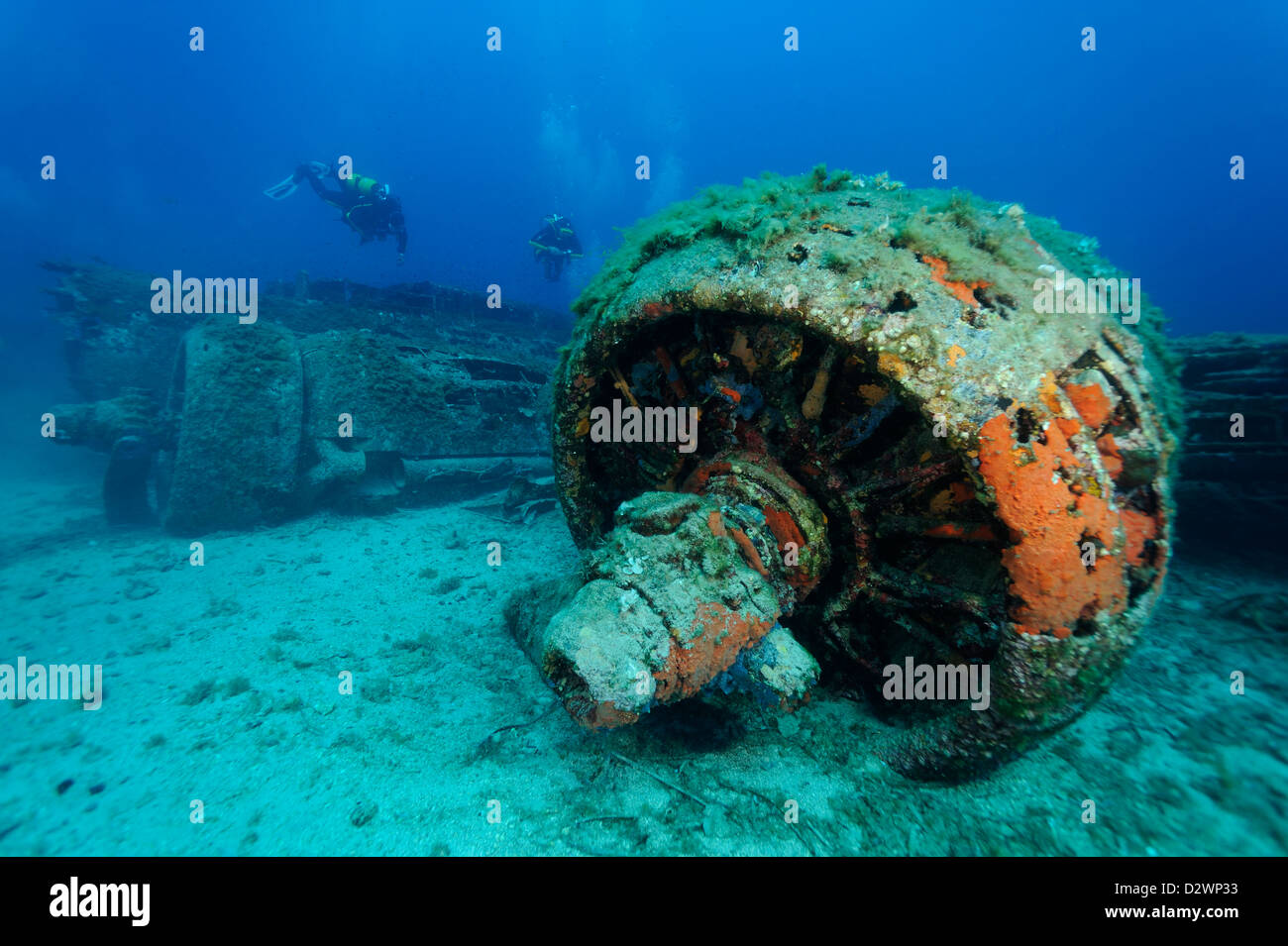 Vista subacquea di nuoto subacqueo intorno al relitto aereo B 17, Calvi, Corsica, Mare mediterraneo, Francia Foto Stock