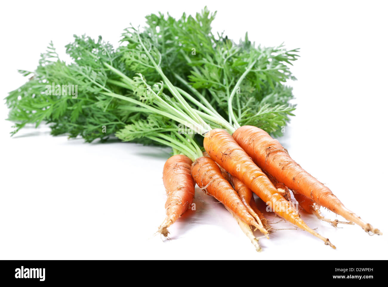 Le carote con foglie su uno sfondo bianco. Foto Stock