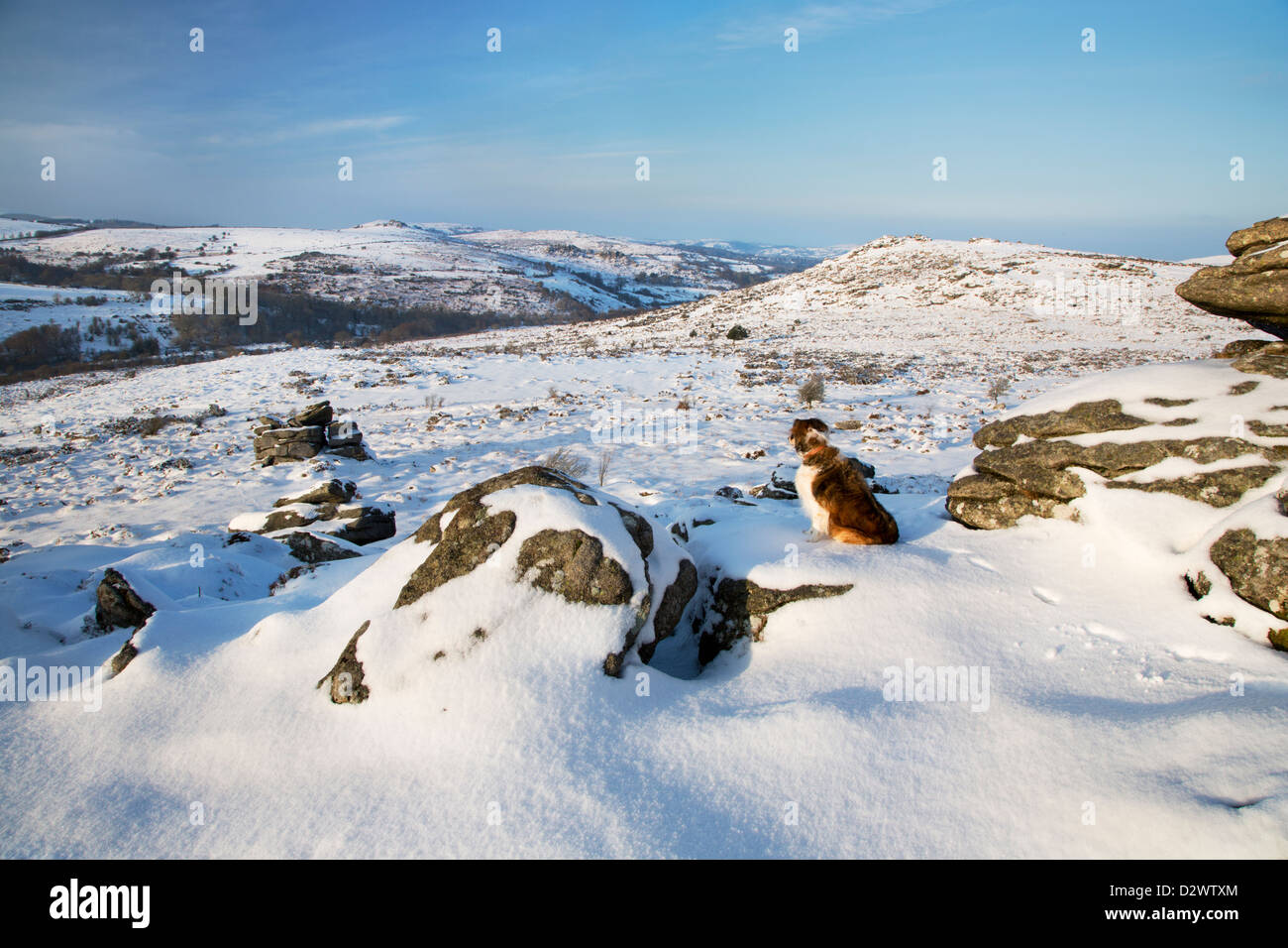 Vista da Holwell Tor a Hound Tor su Dartmoor in condizioni di neve Foto Stock
