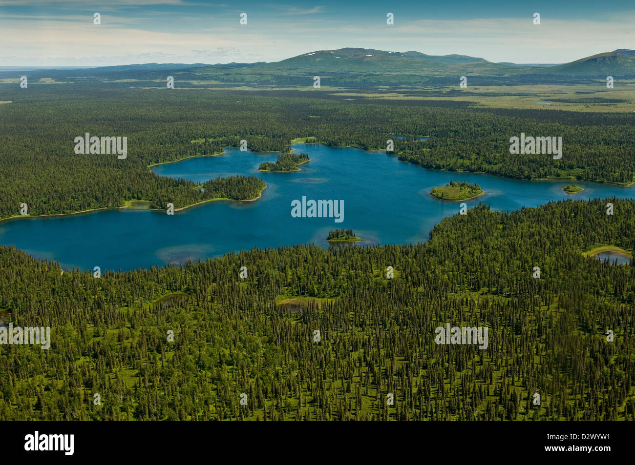 Vista aerea dell'Alaska laghi montagne e foreste Foto Stock