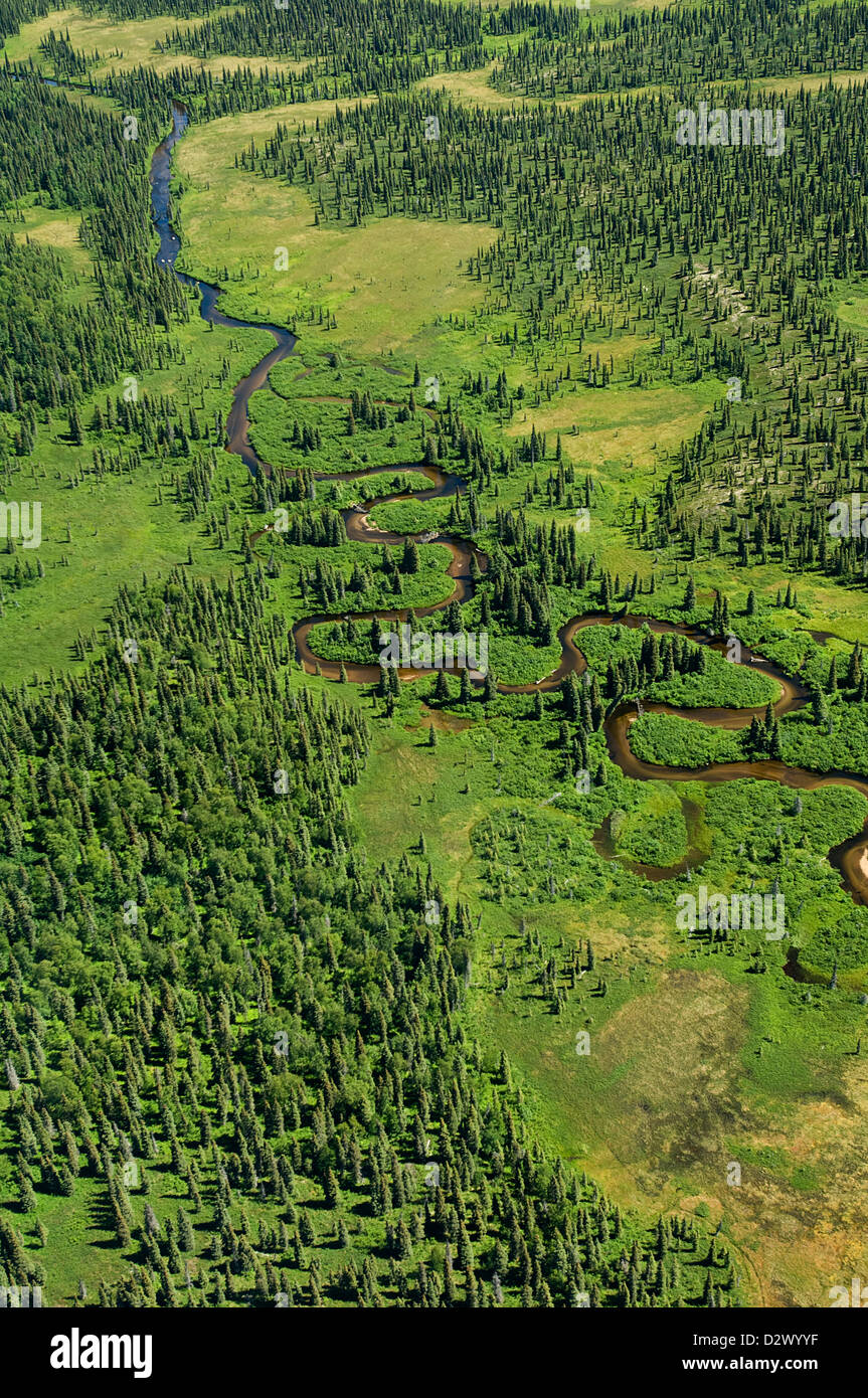 Vista aerea dell'Alaska river forest e tundra Foto Stock