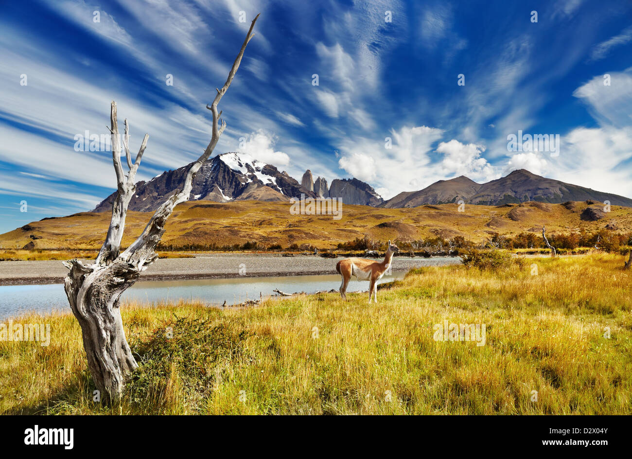 Parco Nazionale di Torres del Paine, Patagonia, Cile Foto Stock