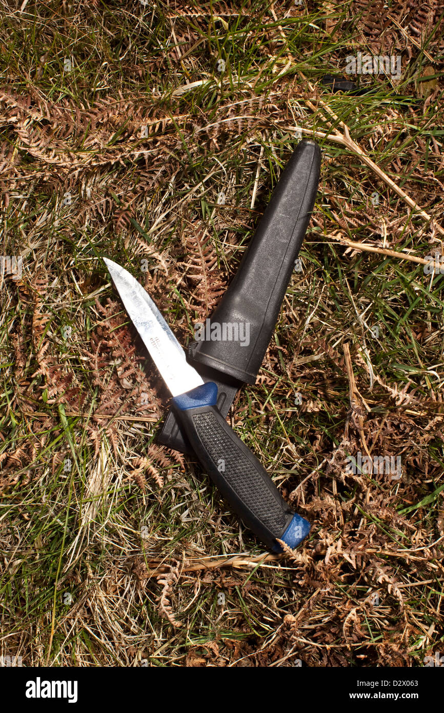 Il pugnale e la guaina sull'erba a Thetford Forest, Regno Unito Foto Stock