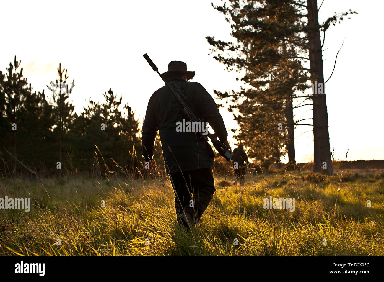 Cacciatori di Cervo Stalking in preda a Thetford Forest, Regno Unito Foto Stock