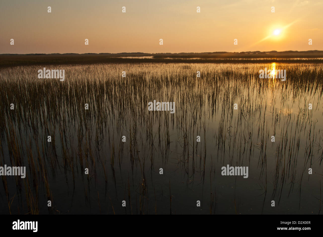 Tramonto su un invaso di Erba Spartina piatta ad alta marea nei pressi di Wilmington nella Carolina del Nord Foto Stock