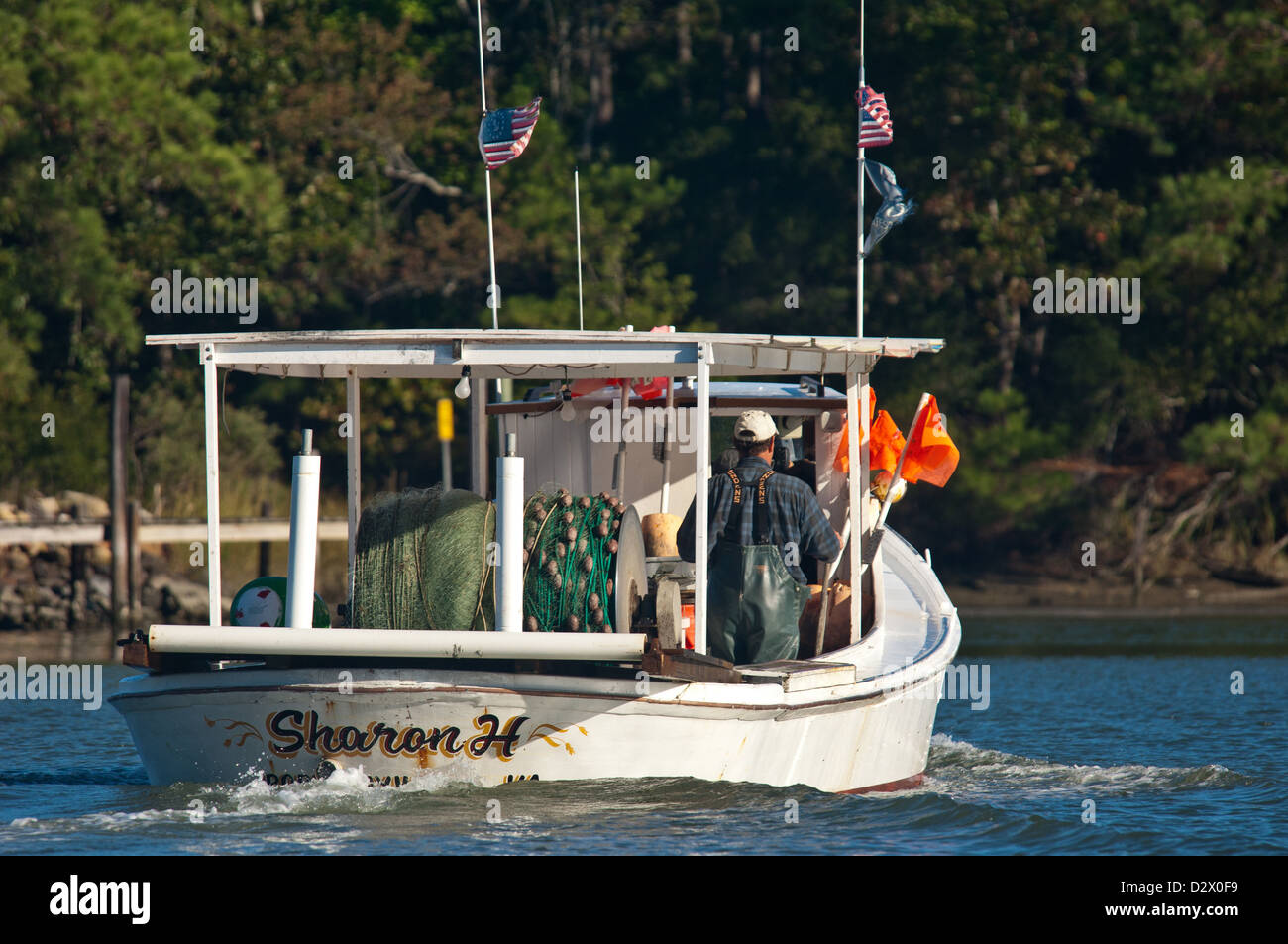 La rete commerciale pescatore sulla baia di Chesapeake Foto Stock